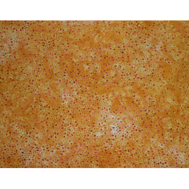 Batik Patchworkstoff orange
