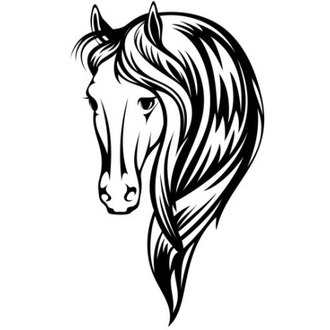 Pferd PL-0072