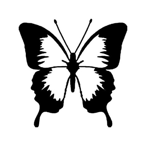 Schmetterling PL-0080